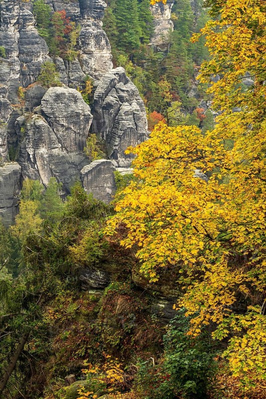 Autumn in the Elbe Sandstone Mountains in the Saxon Switzerland National Park, Lohmen, Saxony, Germany