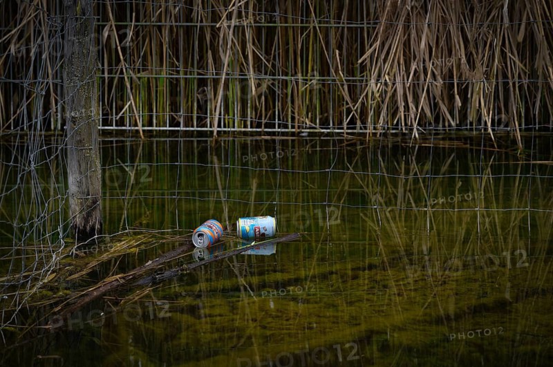 Empty beverage cans, beer cans, garbage, lying in water, bird sanctuary, reeds, shore, environmental pollution, pollution, Max-Eyth-See, Hofen, Stuttgart, Baden-Württemberg, Germany