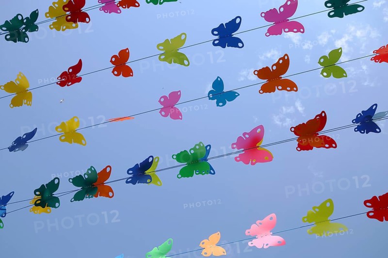 Butterfly figures as colourful decoration on ropes, pennant chain, parallel, detail, row, series, line, string, colourful, decoration, flying, air, free, clipping, sky, view upwards, Boulevard Gambetta, Aigues-Mortes, Gard, Camargue, Provence, France
