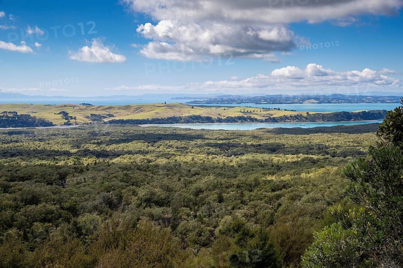 Dense native forest and pohutukawa scrub cover the slopes of Rangitoto Island, with rolling hills and the waters of the Hauraki Gulf reaching toward Auckland's coastline under a wide summer sky, New Zealand