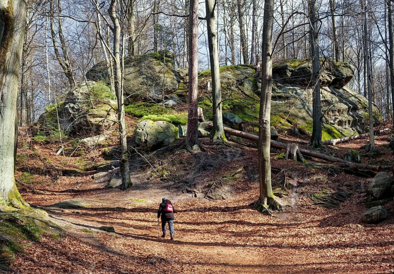 Hiking trail to natural arch Kuhstall, national park, hiking destination, hiking, forest, Elbe Sandstone Mountains, Saxon Switzerland, Bad Schandau, Saxony, Germany