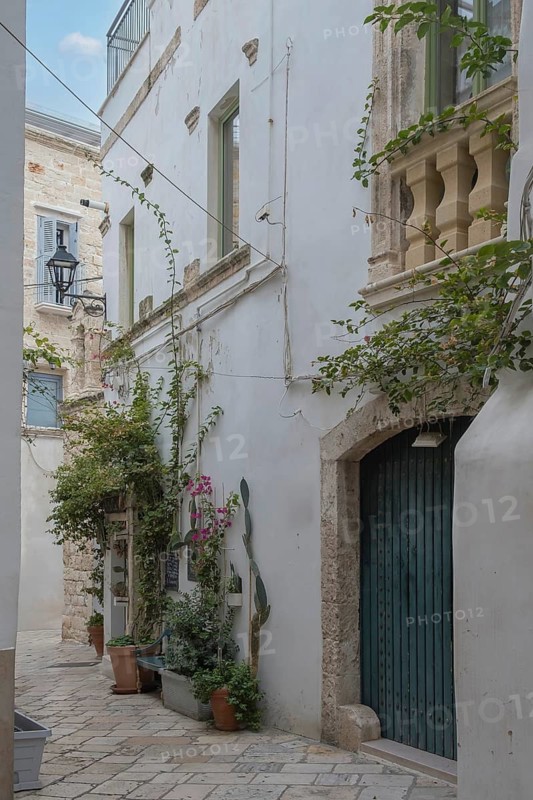 Narrow alley with Mediterranean buildings and lush plants, Polignano a Mare, Apulia, Italy