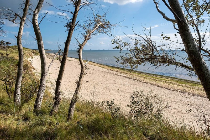 Overgrown beach with a view of the calm sea and the partly cloudy sky, beach near Hedehusum, Utersum, North Sea island of Föhr
