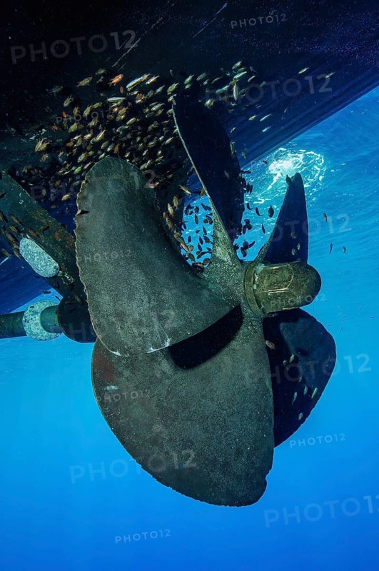 Underwater photo of five-bladed ship's propeller with five blades at a standstill does not rotate, above small school of small fish school of fish, international