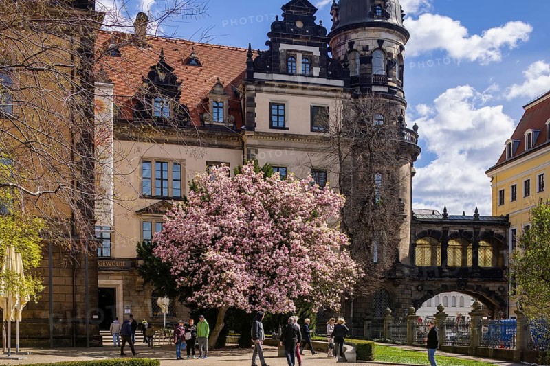Residenzschloss, Bärengartenflügel, Dresden, Saxony, Germany