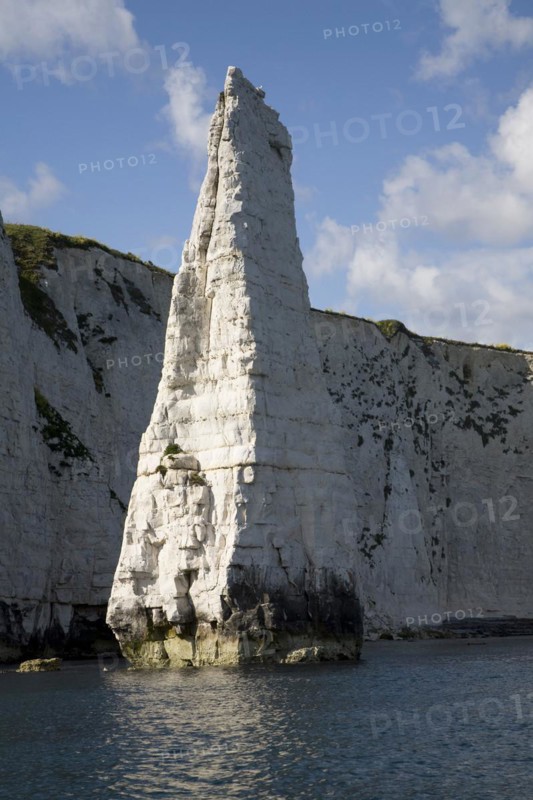 The Pinnacle stack, near Old Harry Rocks, Ballard Point, Dorset, England, United Kingdom