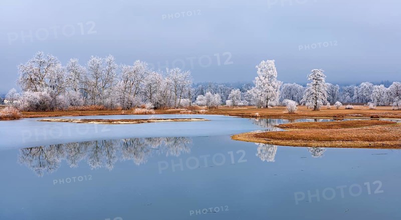 Frozen pond and trees in hoarfrost, nature reserve, Schoren, Mühlau, Freiamt, Aargau Canton, Switzerland