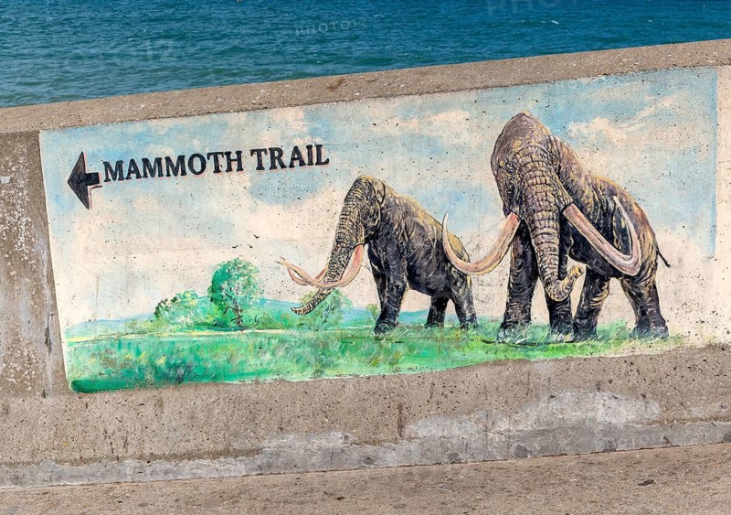 Picture sign for Mammoth Trail, Sheringham, north Norfolk, England, UK
