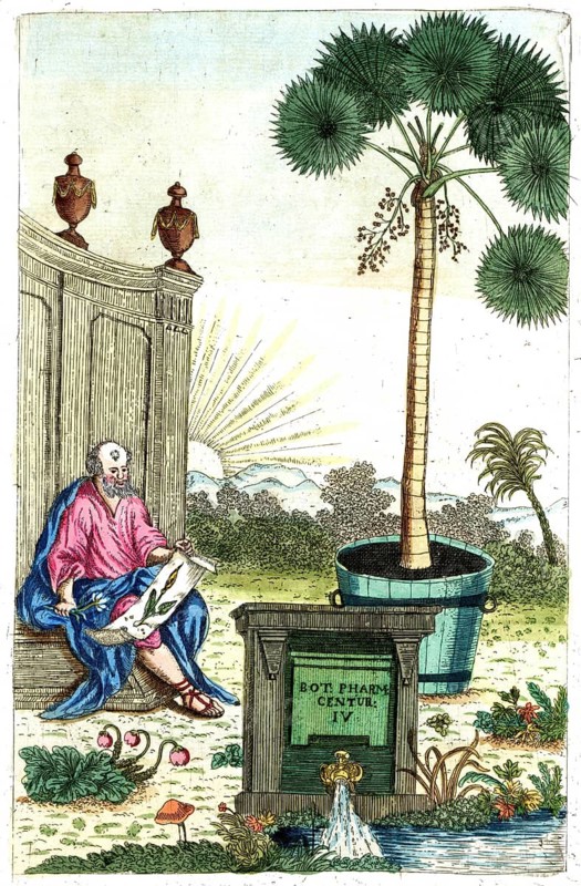 Cover picture of Botanica Pharmaceutica by Andreas Friedrich Happe, Volume IV, 1800, digital reproduction of a historical original, between 1790 and 1810