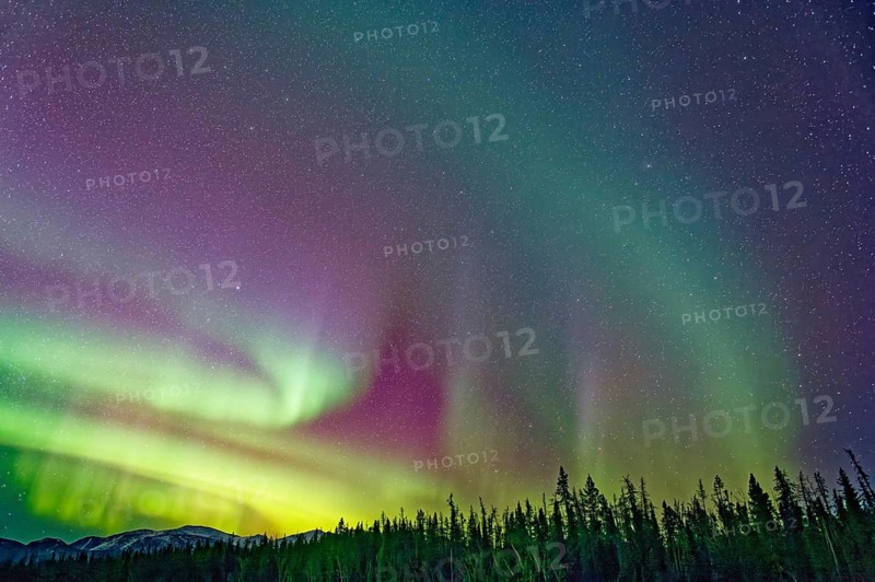 Aurora Borealis, Northern Lights, extreme starry sky, intense colouring, Yukon Territory, Canada