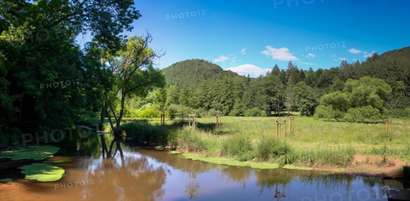 The Wieslauter (Palatinate) in spring. A few kilometres further on, the small river is only called Lauter and forms the border between Germany and France