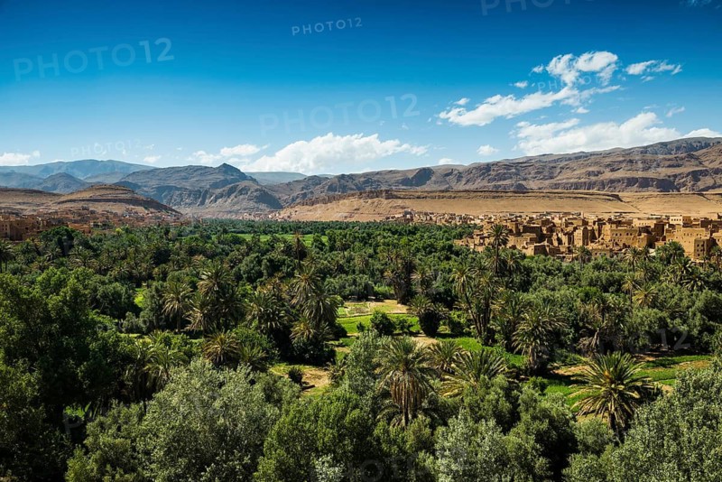 Oasis and city, Tinghir, Drâa-Tafilalet region, Atlas Mountains, Morocco