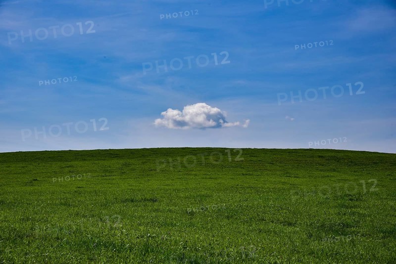 White cloud in the blue sky above a meadow in Bavaria, Germany