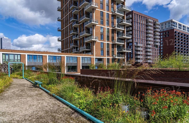 De Groene Kaap residential complex, in the Rotterdam Feijenoord district, on the Maashaven, Katendrecht neighbourhood, 450 flats and shops, spread over 5-19 storey buildings, with many inner courtyards, balconies and an accessible roof garden, partly over bridges, partly as a kitchen garden, which extends over all buildings and can also be used by the public, lots of greenery to promote the microclimate, energy-efficient construction, Netherlands