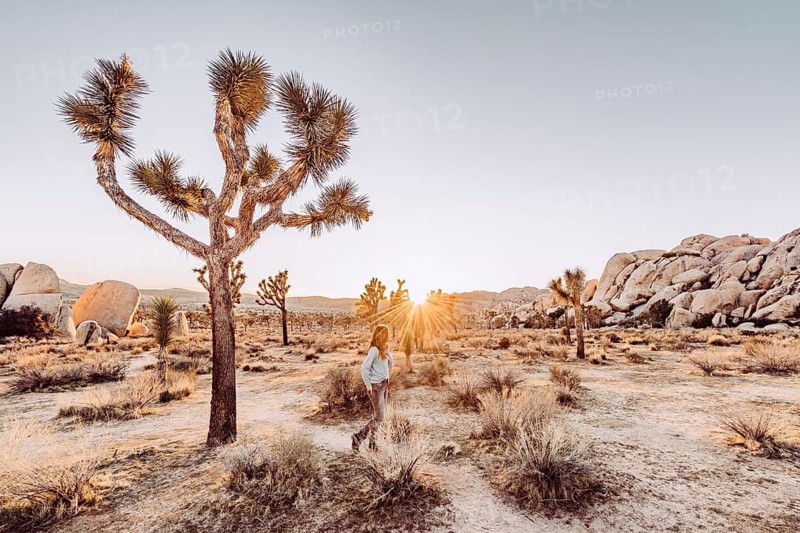 Woman at sunset in Joshua Tree National Park