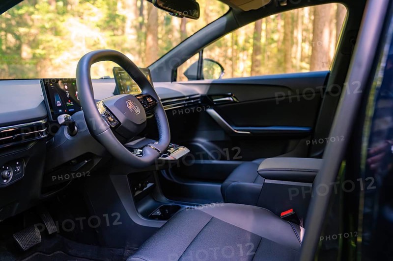 Interior of a modern car with an elegant design in the forest, Deer E- Carsharing, Calw, Black Forest, Germany