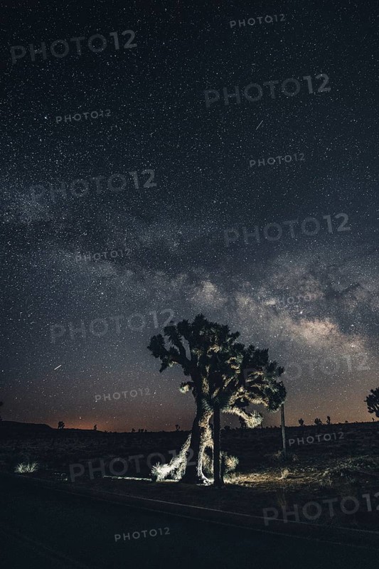 Starry sky with the Milky Way in Joshua Tree National Park