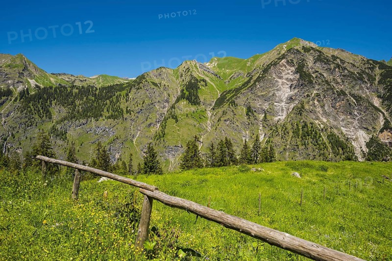 View from the Untere Lugenalpe to the Laufbacher-Eck-Weg and Schochen, 2100m, Allgäu Alps, Allgäu, Bavaria, Germany