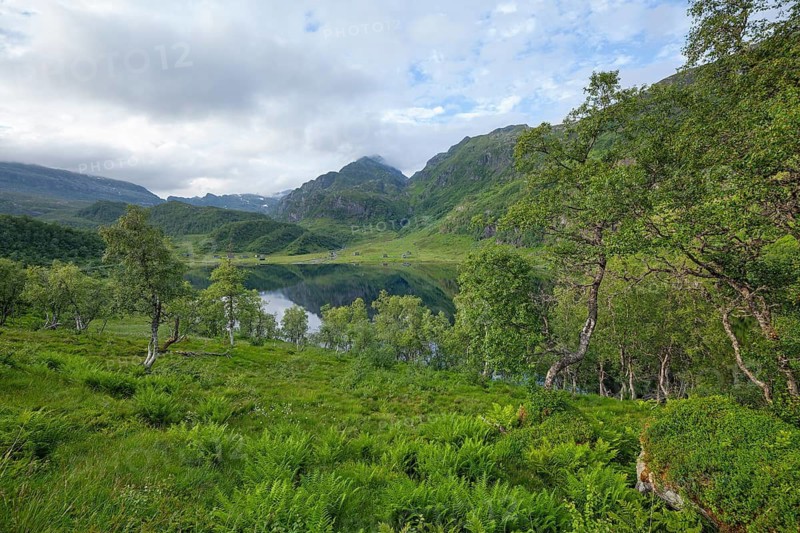 Summer view at Steinskvanndalsvatnet lake near Norheimsund, green mountains, birch forest and old hut, Vestland, Norway