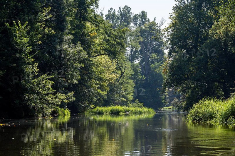 River landscape of the Thaya in late summer, Czech Republic