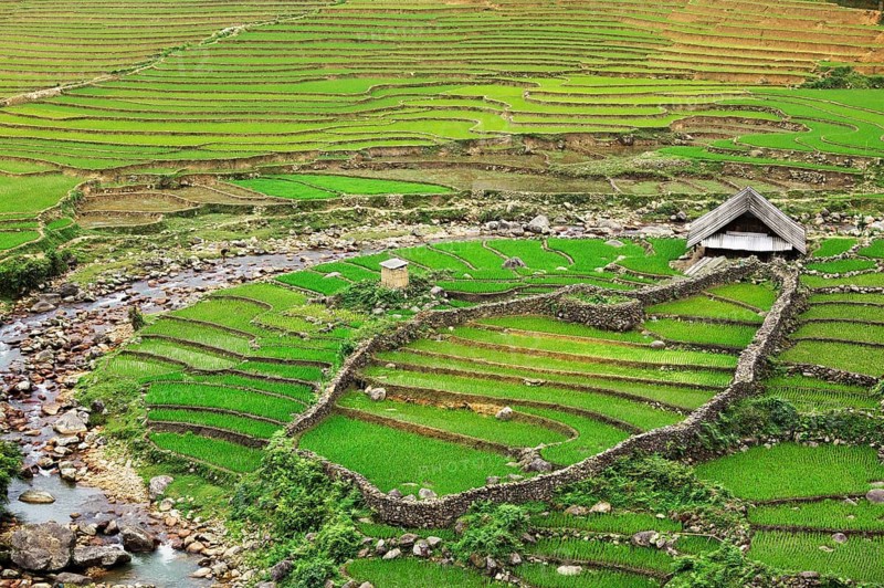 Farm shed in rice field terraces. Near Sapa, Vietnam