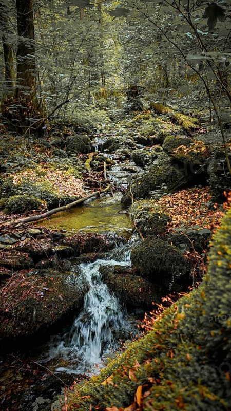 A small waterfall ripples on the Werre Bach over moss-covered rocks in the middle of a dense forest, quiet, melancholy atmosphere, atmospheric, hiking in the Schwarza Valley nature park Reserve, Thuringian Slate Mountains, Thuringian Forest Nature Park