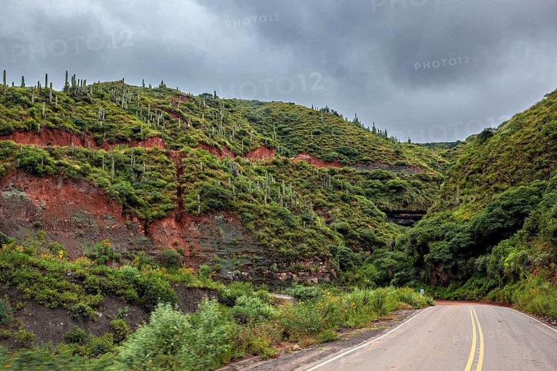 Road leads through green-covered mountains with cacti under cloudy sky, roads through the landscape of Quebrada de Cafayate near Salta in Argentina