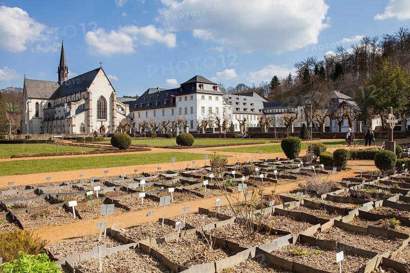 Medicinal plants, Cistercian monastery of Marienstatt Abbey, Streithausen, Rhineland-Palatinate, Germany