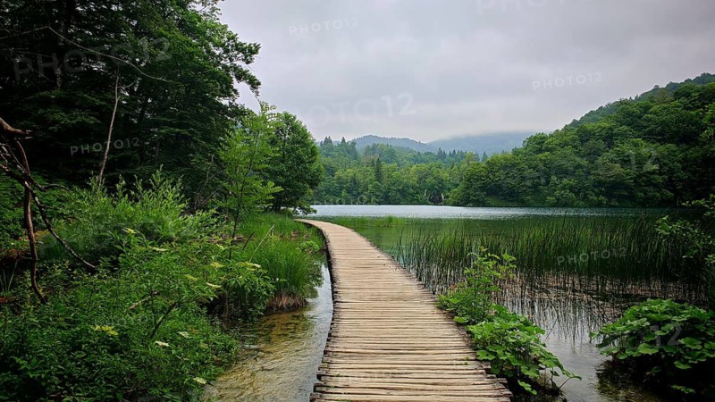 A wooden walkway leads across a foggy lake, surrounded by natural vegetation and peaceful surroundings, Plitvice Lakes National Park, Croatia