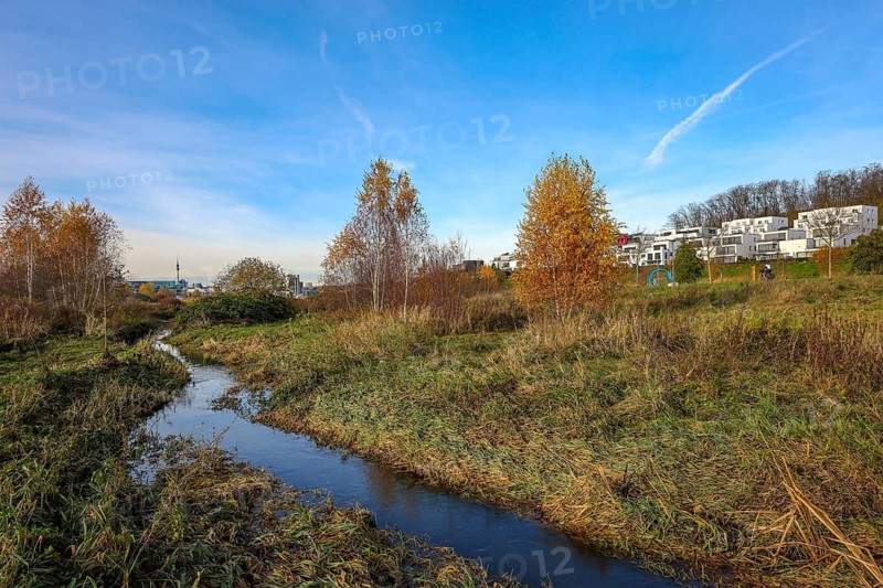 Dortmund, North Rhine-Westphalia, Germany, Phoenix Lake, front of the renaturalised Emscher. The river has been transformed into a near-natural body of water, flood protection and biodiversity through newly designed floodplains. A former industrial wasteland of 99 hectares was transformed into residential, work and leisure areas and 24 hectares of lake surface. In the event of heavy rainfall, the lake acts as a rainwater retention basin. Following the construction of a parallel sewer, the Emscher is now free of wastewater, having previously been an open, above-ground wastewater sewer, combined sewer with surface water and wastewater. The Phoenix Lake, a showcase project for structural change, is an artificial lake on the site of the former Phönix Ost steelworks in Dortmund's Hörde district