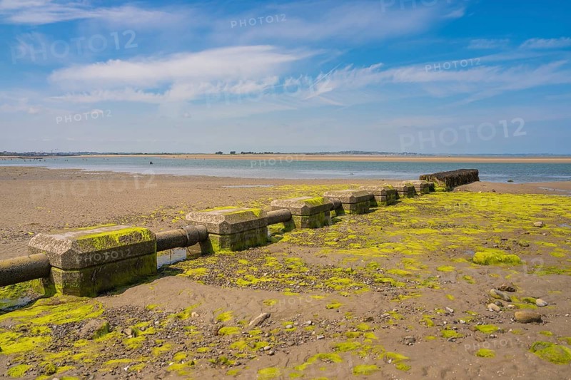 Concrete barrier on beach with moss and peaceful coastal landscape under blue sky, low tide, Howth beach, Ireland