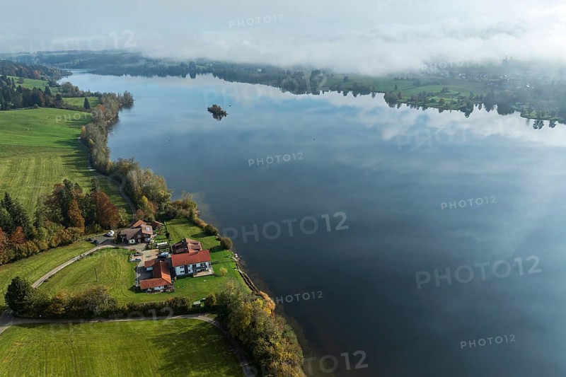 Lake Rottachsee, shore covered with fog, single island, reflections, autumn, aerial view, Allgaeu, Bavaria, Germany