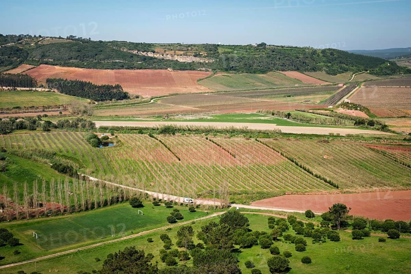 Wide view of the Portuguese countryside near Obidos, Portugal, showing vineyards, farm fields, rolling hills and red soil under a clear blue sky