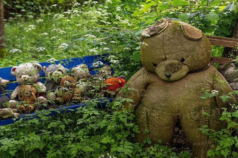 Bank of bear friends in the enchanted forest, Bingen am Rhein, Rhineland-Palatinate, Germany