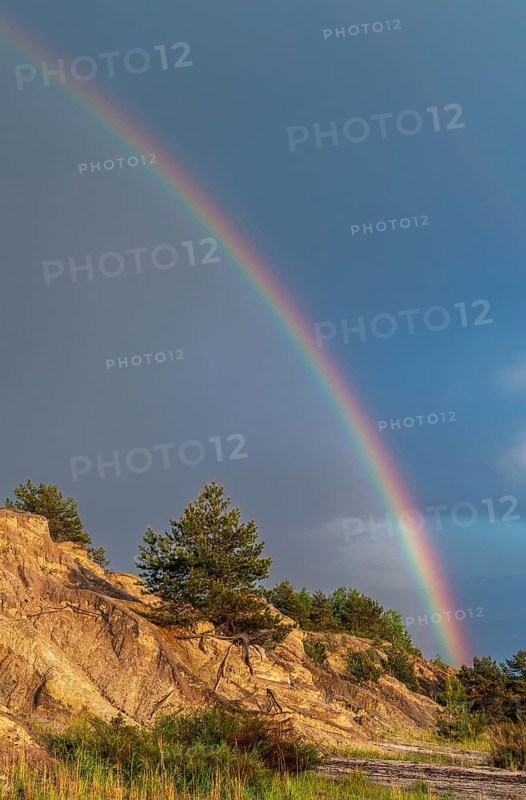 2023, Brandenburg, Germany, Mainzer Land, Nabu, Nabu Project, national natural heritage, Grünhaus natural paradise, post-mining landscape, Grünhaus, high size, portrait format, rainbow, rainbow