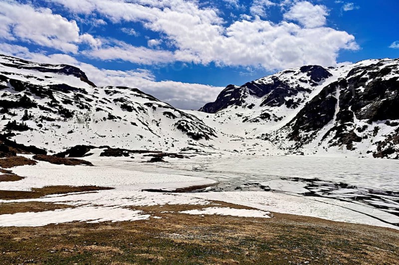 Ice floes drift in the half-frozen upper Murgsee, in the foreground, white flowering spring crocuses (Crocus vernus), Murg Valley, Canton of St. Gallen, Switzerland
