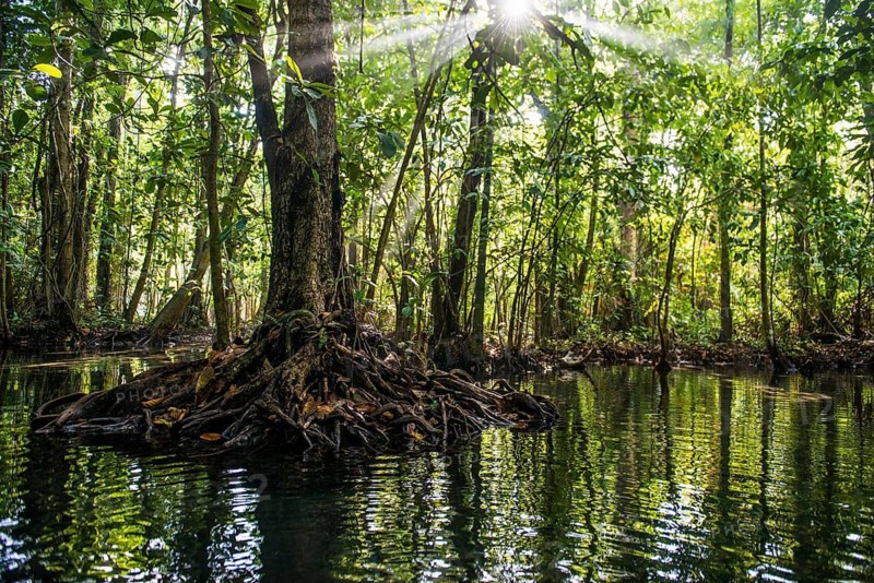 Lagoon, Klong Rud, Klong Nam Sai, Ao Nang, Krabi, Thailand