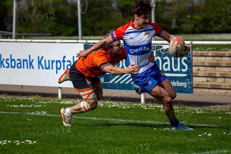 Rugby 1st Bundesliga South/West, Season 2024/25, Matchday 10: RG Heidelberg vs Heidelberger Ruderklub 1872***Try for HRK