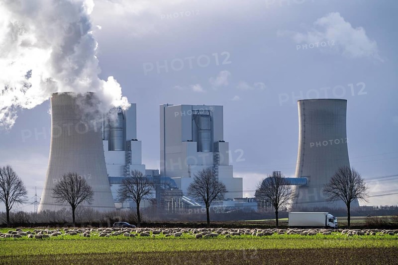 RWE Power lignite-fired power plant Neurath, near Grevenbroich, power plant units F and G, cooling towers, country road, sheep on a pasture in front of the lignite-fired power plant, North Rhine-Westphalia, Germany