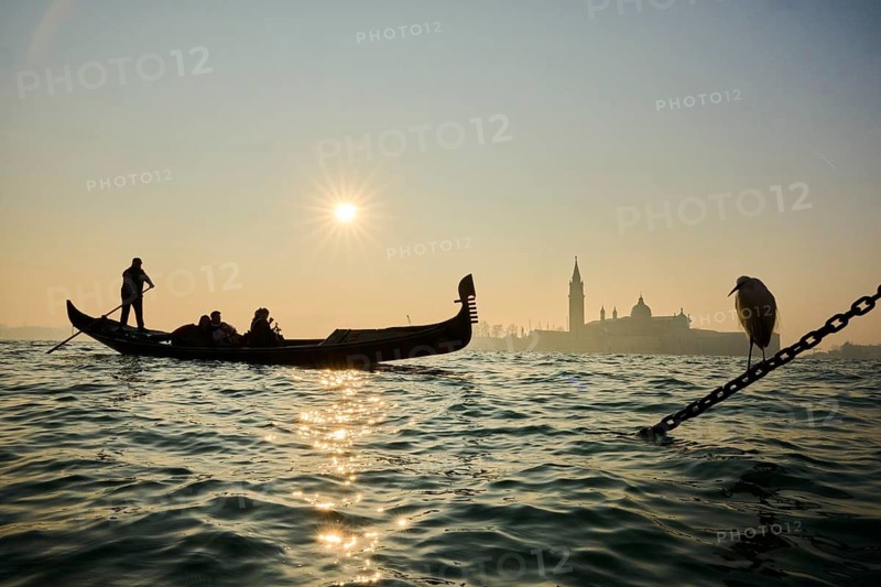 Great egret (Ardea alba) sitting on a chain with the church 'Giorgio Maggiore' and a gondoleir in the background at sunrise in Venice on a foggy morning in winter, Italy