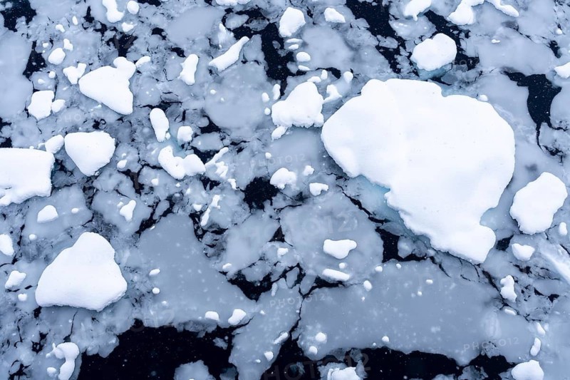 Floes with snow on dark seawater, aerial view during snowfall, Wilhelmina Bay, Antarctic Peninsula, Antarctic