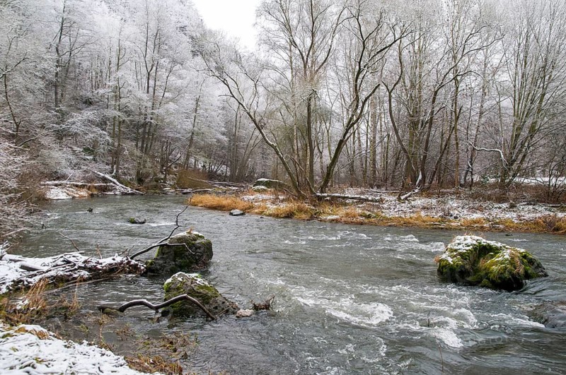Germany, Rentzschmühle, Saxony, biotopes, landscape, deciduous forest, nature reserve, snow, rockery, Vogtland, forest, winter, wood