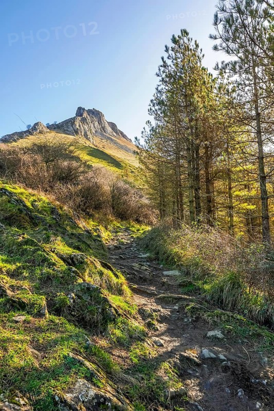 Scenic hiking trail ascending through lush vegetation and pine trees towards the imposing peak of mount txindoki in the basque country, spain, on a clear sunny day