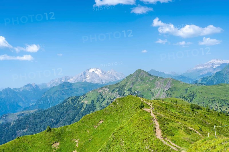 Scenic view of a hiking path amidst vibrant green slopes, leading towards majestic peaks under a clear blue sky in the italian dolomites