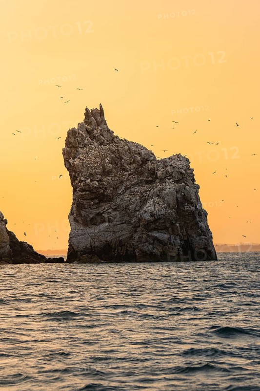 A prominent rock in the sea at sunset surrounded by flying birds, Howth, Ireland