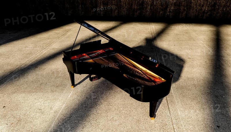 A grand piano is positioned elegantly on a concrete floor, bathed in sunlight. The light creates intriguing shadows and reflections, highlighting the piano polished surface and open lid