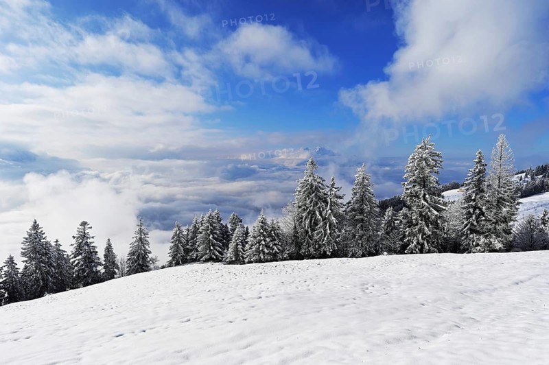 Winter landscape, snow-covered fir trees, Pilatus in the background, Rigi Staffel, Canton Schwyz, Switzerland