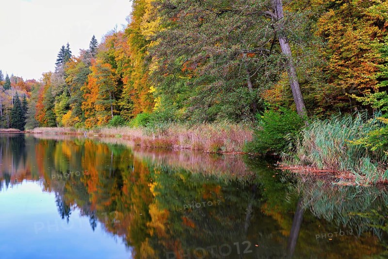 Egelsee in autumn-colored surroundings, Bergdietikon, Canton of Aargau, Switzerland