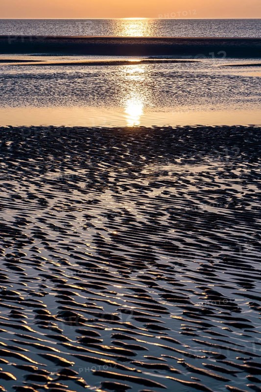 Beach at low tide at dusk, Norddorf, Amrum, Schleswig-Holstein, Germany