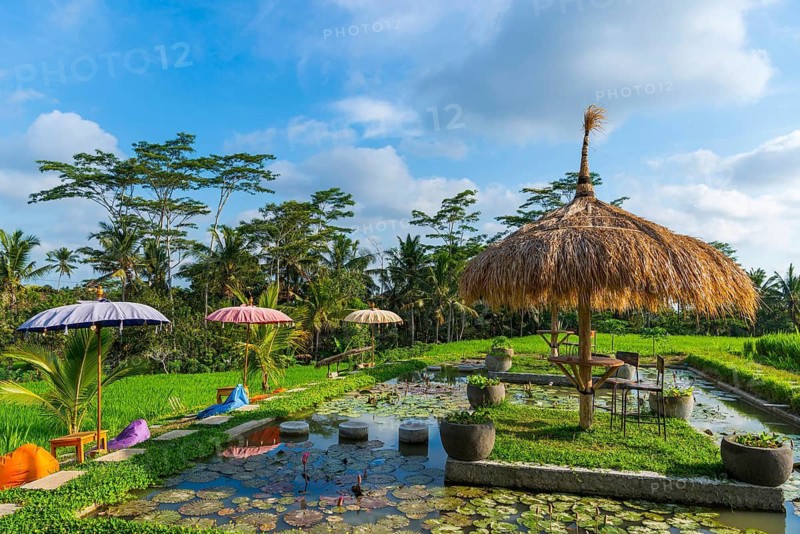 Café and bistro in the rice paddies, seating area, outdoor, gastronomy, garden, travel, tourism, Ubud in Bali, Indonesia